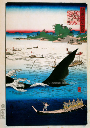 諸国名所百景　肥前五島鯨漁の図