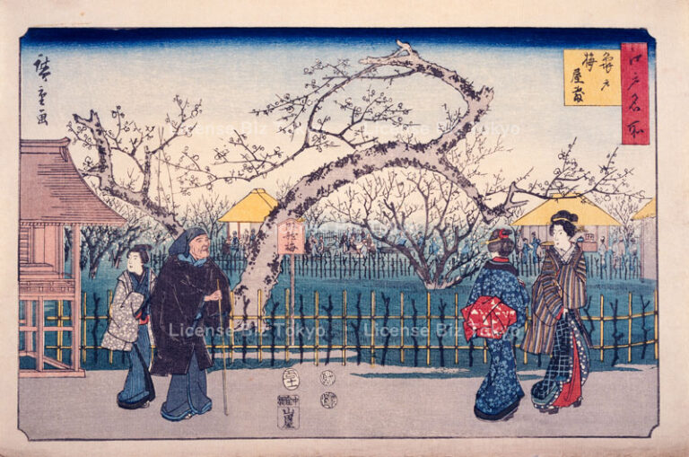 江戸名所 亀戸梅屋敷 浮世絵ストックフォト