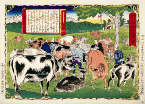 大日本物産図会　陸中国牧牛之図